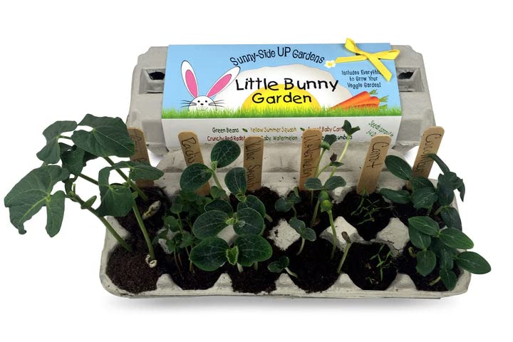 Backyard Safari Company Sunny-Side Up Gardens  Little Bunny Garden - Image 3
